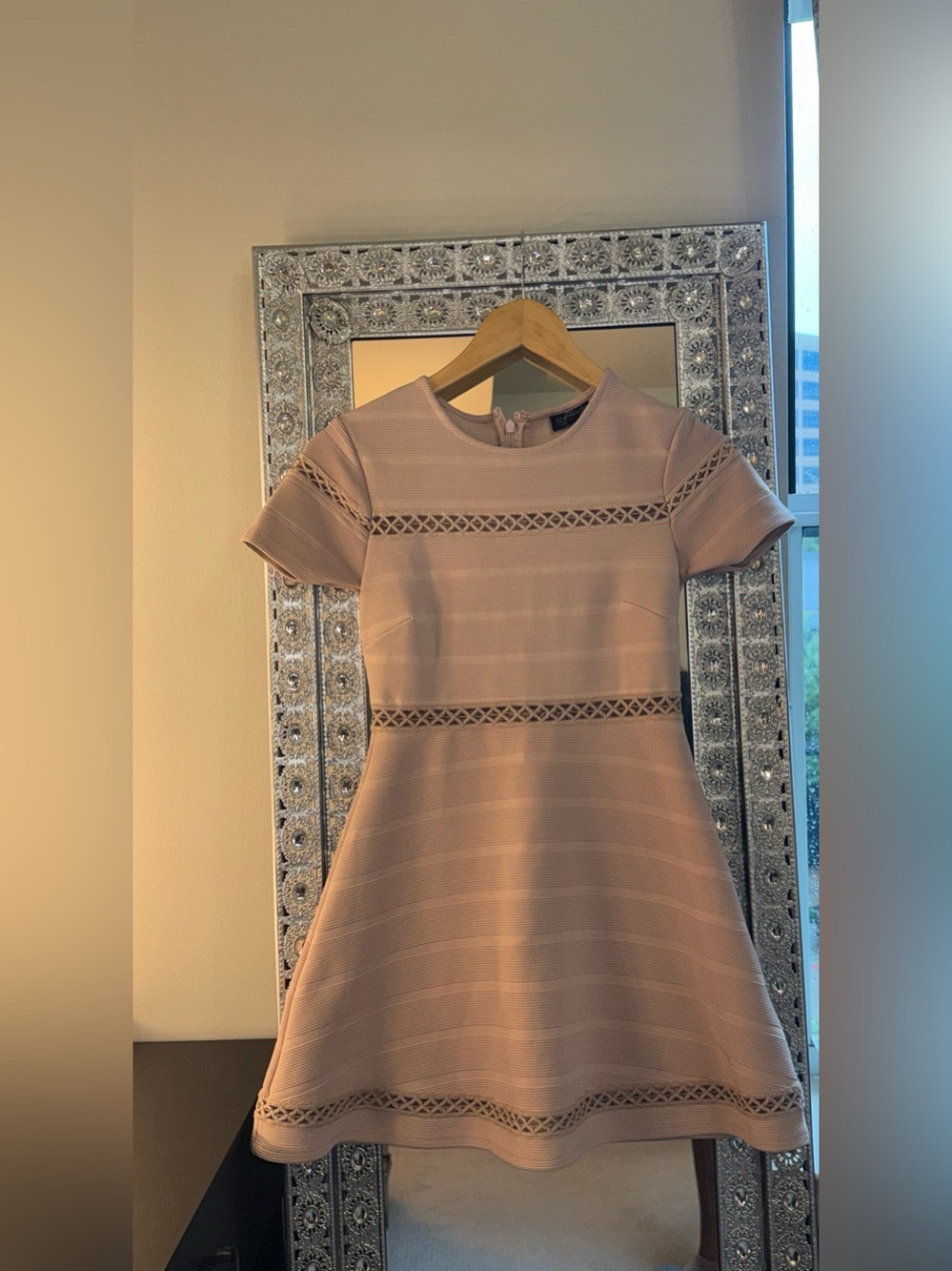 Topshop Blush Pink Textured Fit-and-Flare Mini Dress